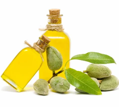 2 glass bottles of olive oil and an olive branch