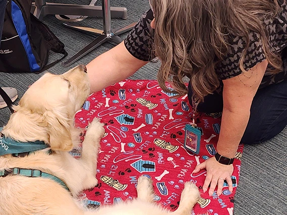 One of the pups from Southern Arizona Pet Partner Therapy dogs