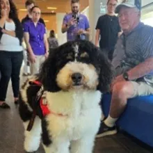 Bernedoodle visiting during a PAWS event